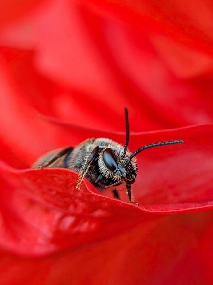 Photograph by Ameen Ahmed L