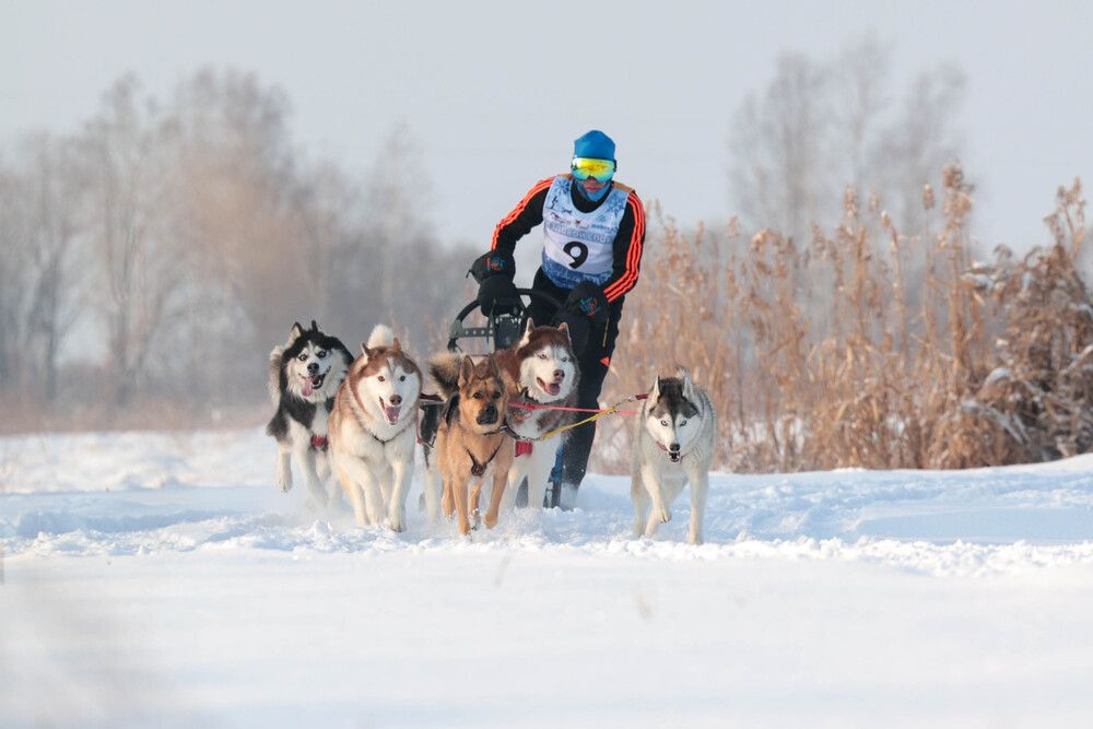 Photograph by Ольга Колобова