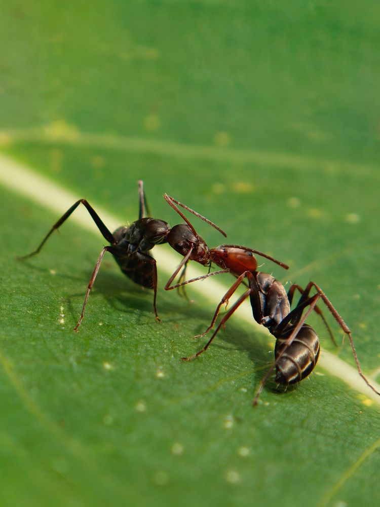 Photograph by Ameen Ahmed L