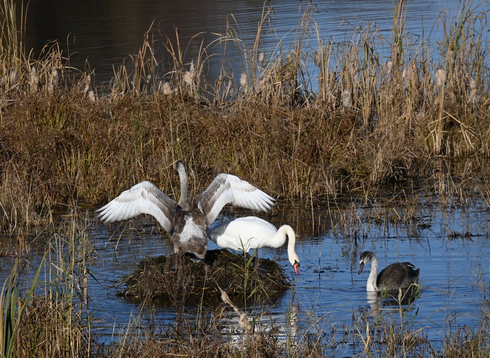 Photograph by Ольга Дерябина
