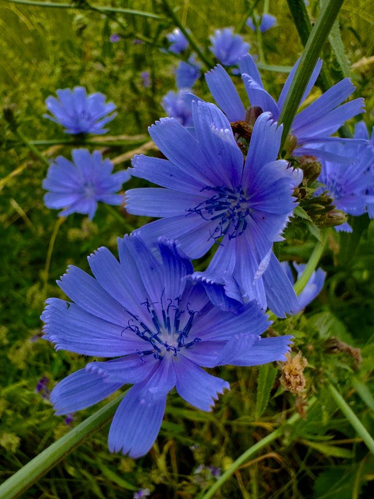 Photograph by Раиса Кравченко