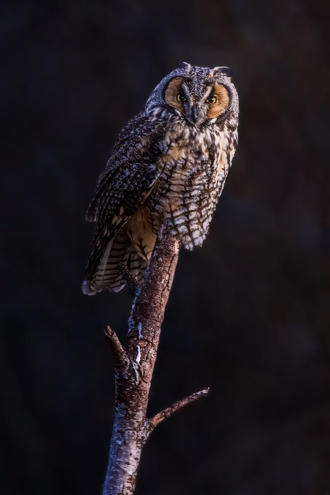 Photograph by Zhenhuan Zhou
