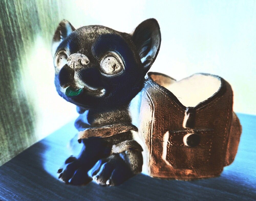 Photograph by Sruthy Kathula