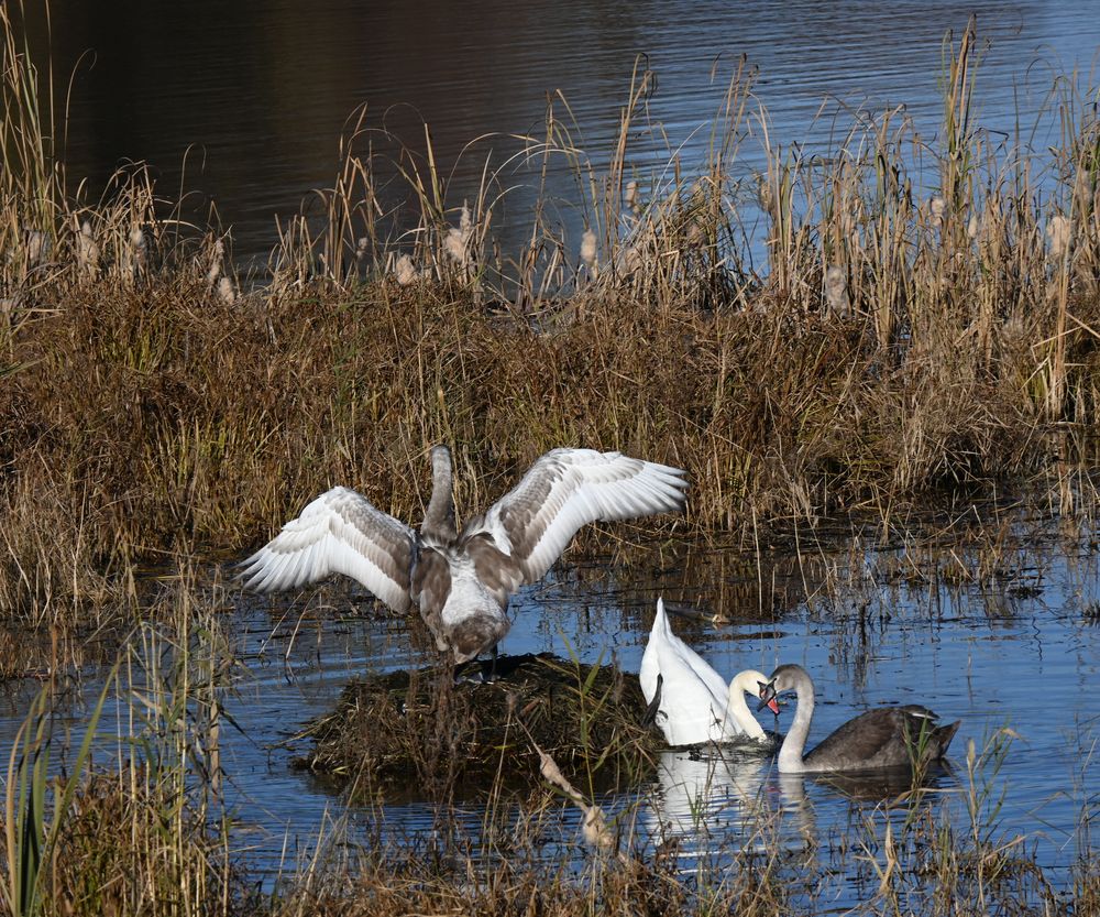 Photograph by Ольга Дерябина