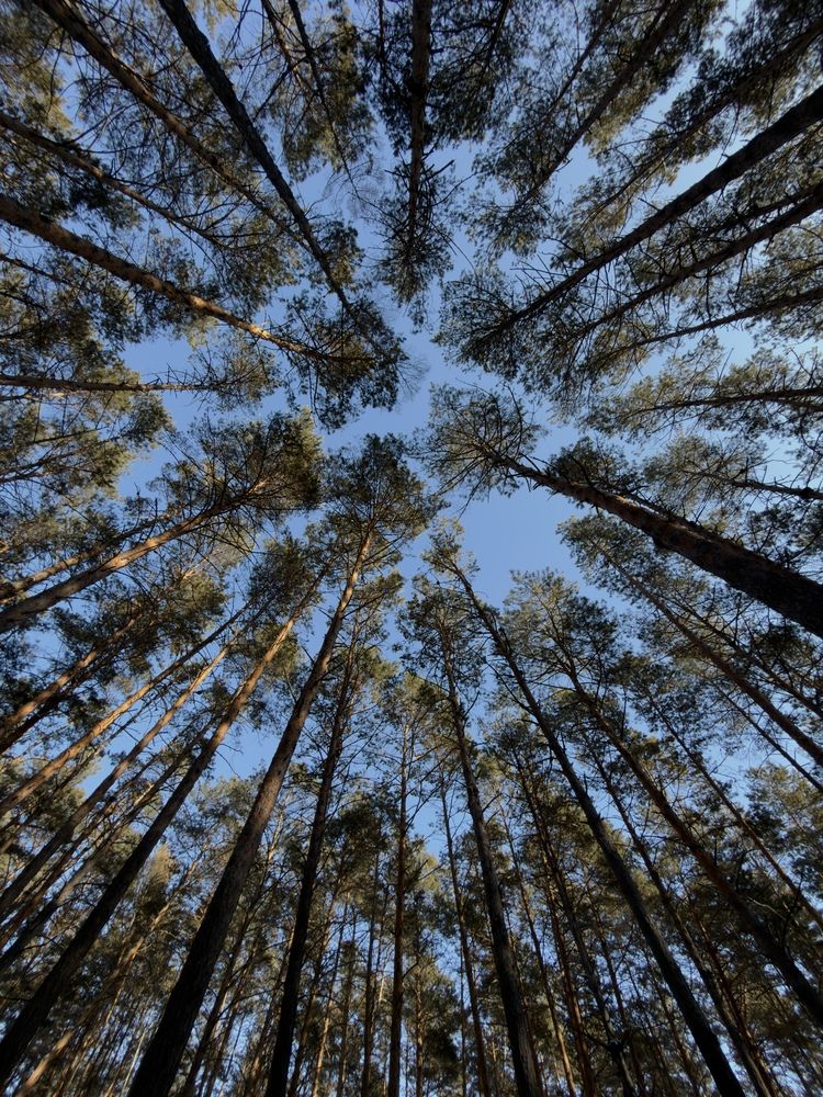 Photograph by Раиса Кравченко