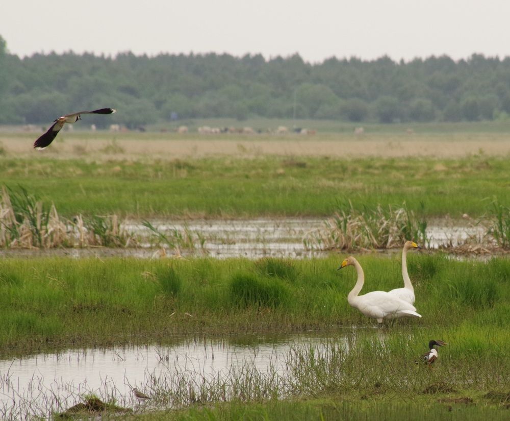 Photograph by Андрей Корытов