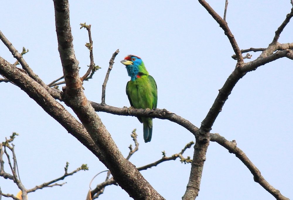 Photograph by Partha Poddar