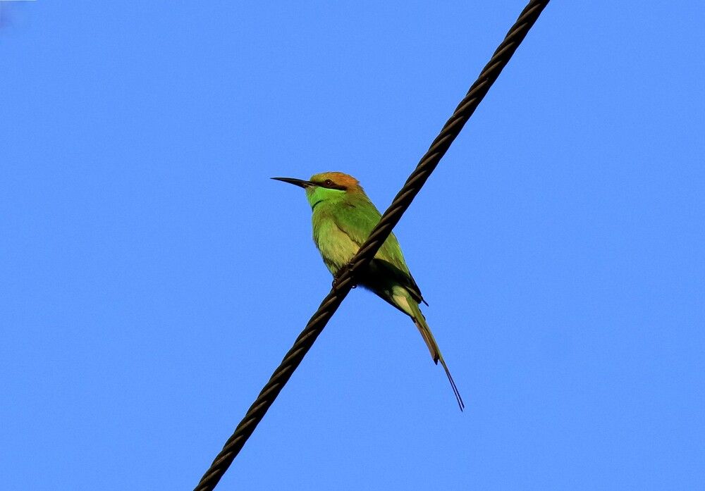 Photograph by Partha Poddar