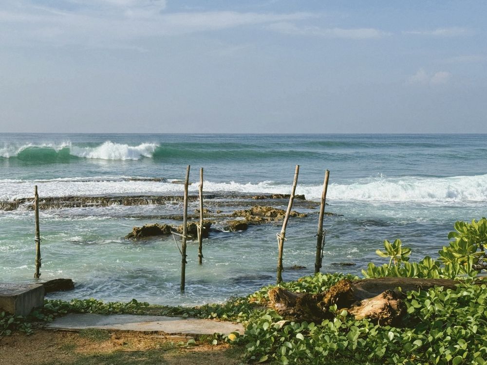 Фотография автора Евгения Никишина