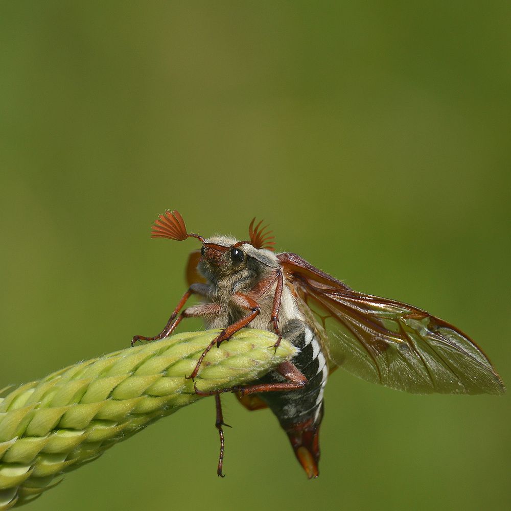 Фотография автора Сергей Суворов