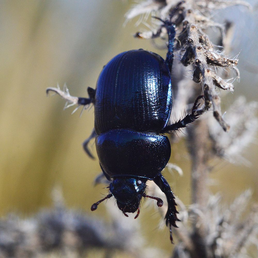 Фотография автора Сергей Суворов