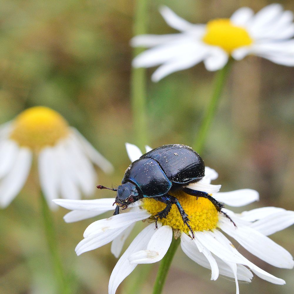 Фотография автора Сергей Суворов