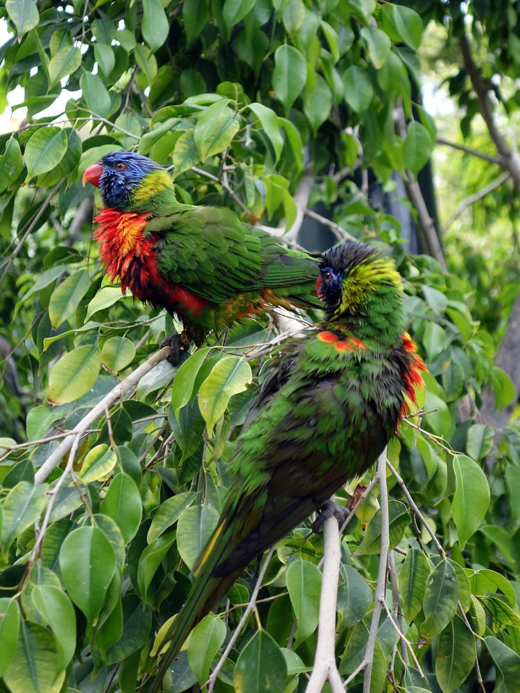 Photograph by Марина