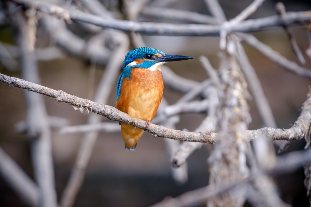 Photograph by Stanislav Volkov