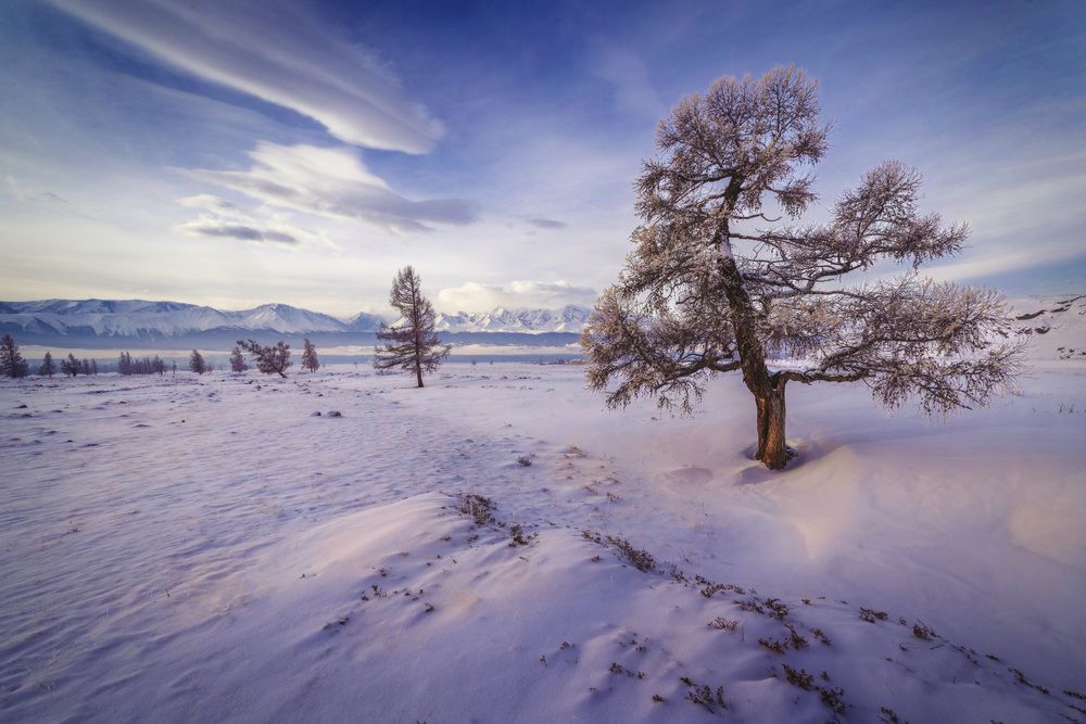 Photograph by Александр Рожков