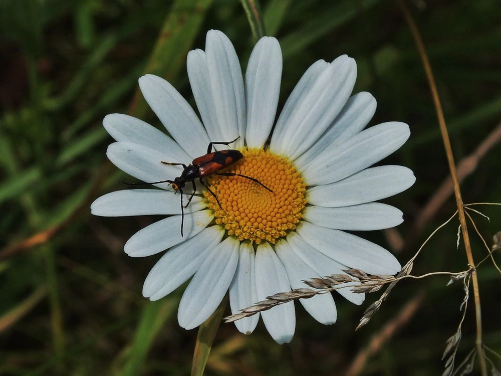Photograph by Андрей Березин