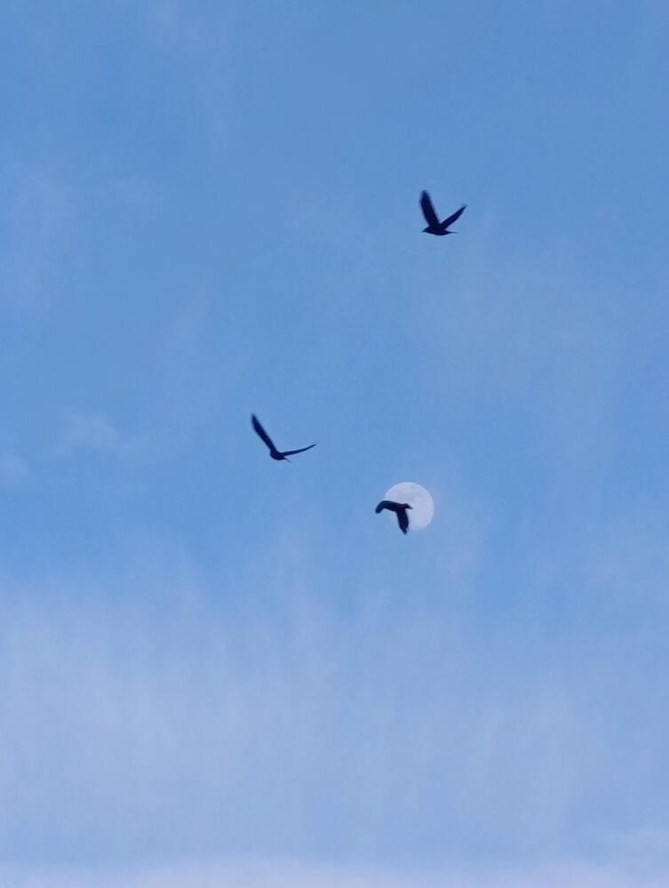 Photograph by Юлия Некрасова