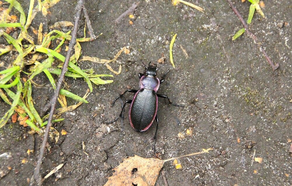 Photograph by Николай Горбачёв