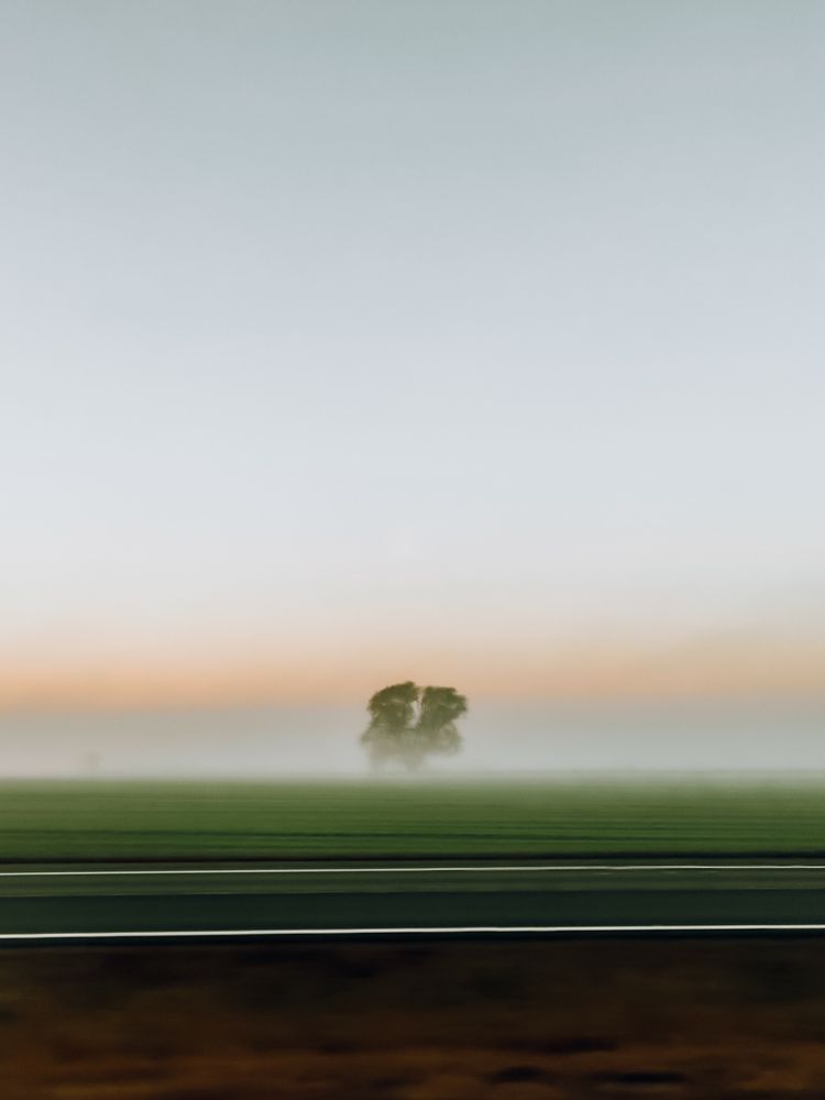 Photograph by Алиса Исаева