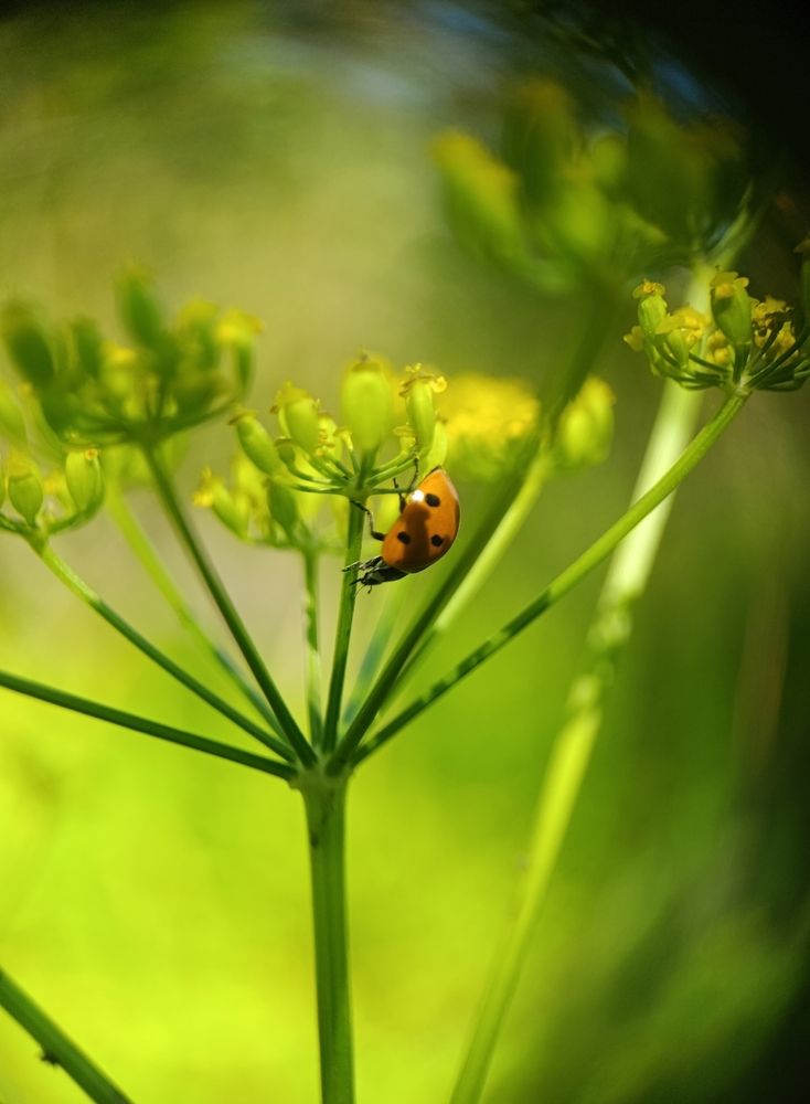 Photograph by Юлия Некрасова