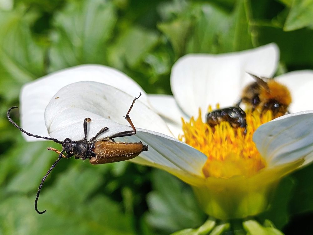 Photograph by Юлия Некрасова