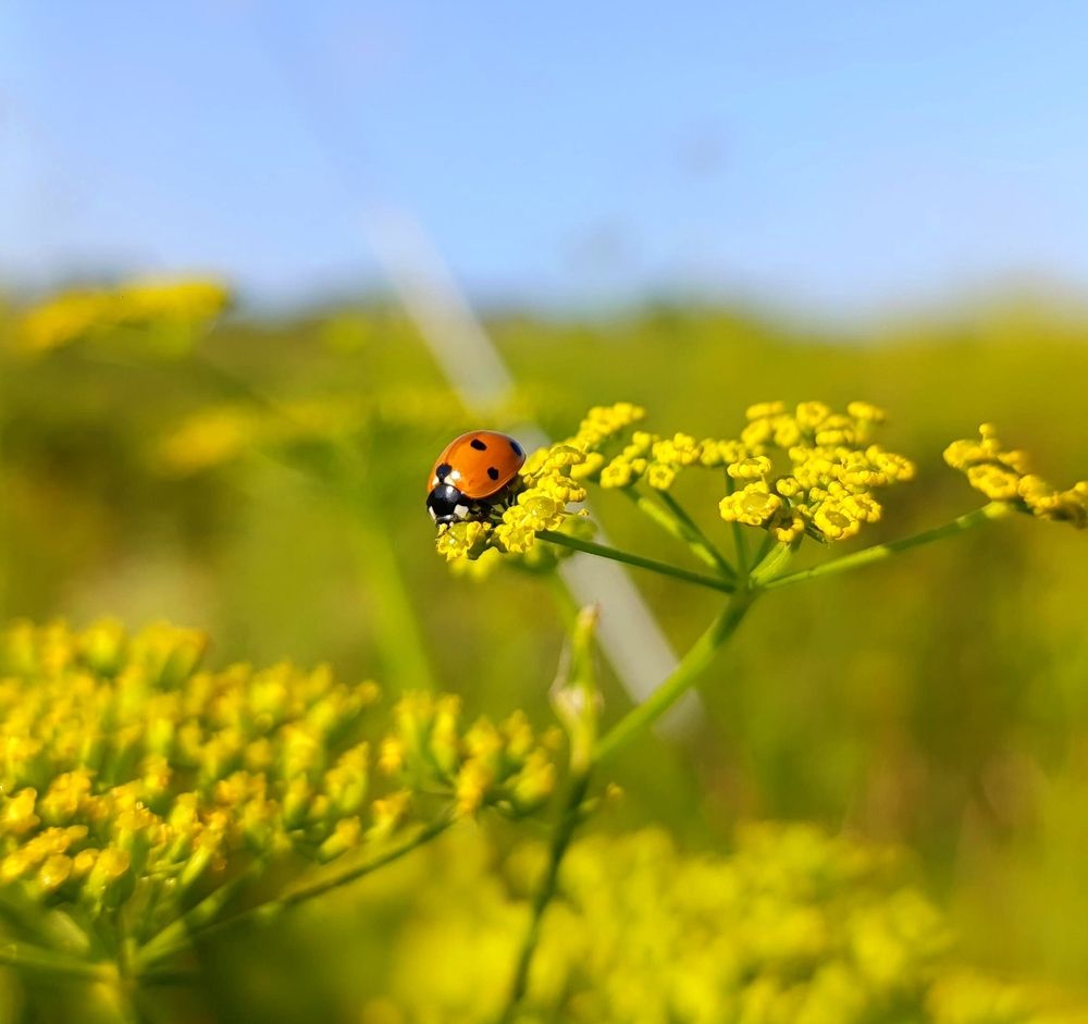 Photograph by Юлия Некрасова