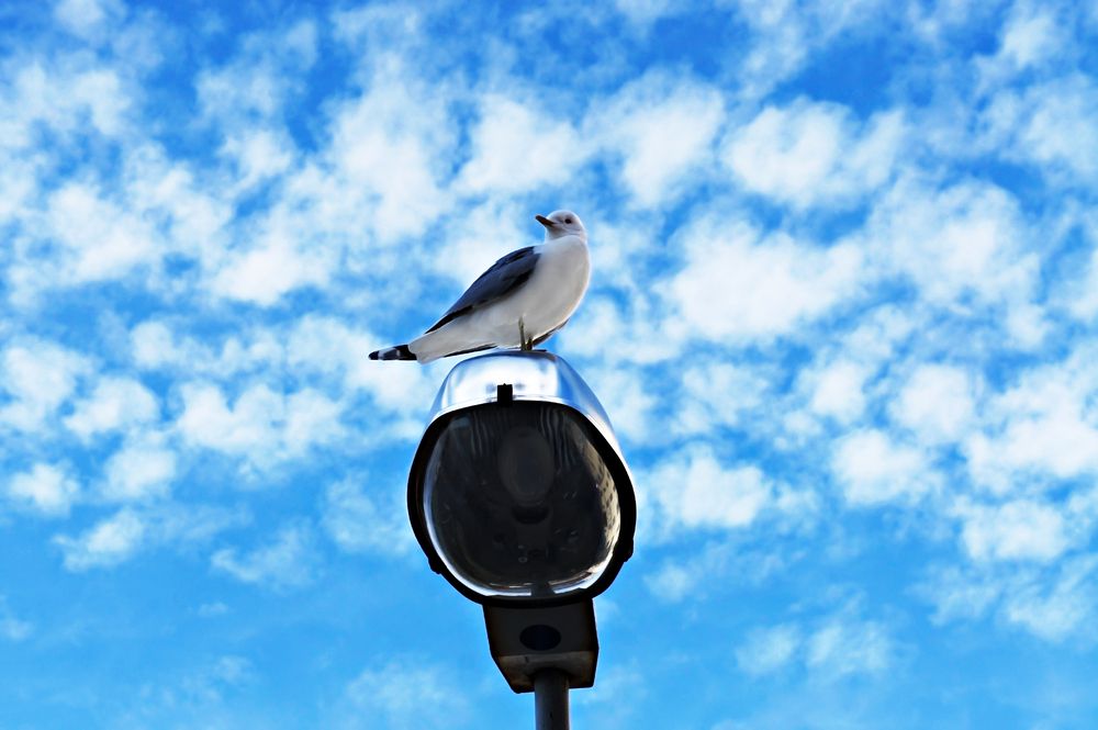 Photograph by Елена Гоосен