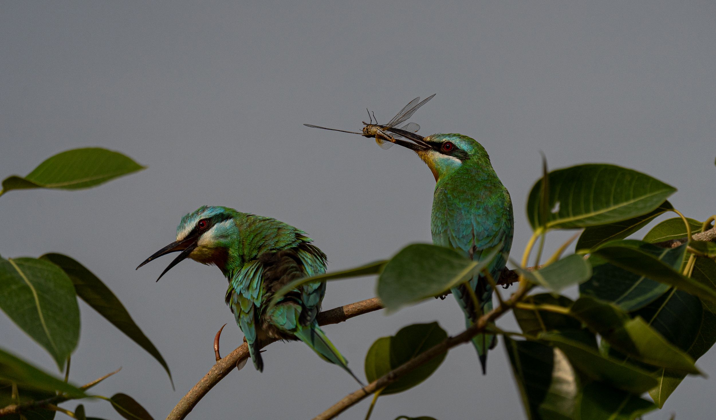 Photograph by MAYANK VERMA