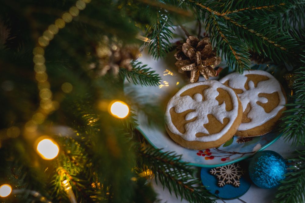 Photograph by Эльнара Исаева