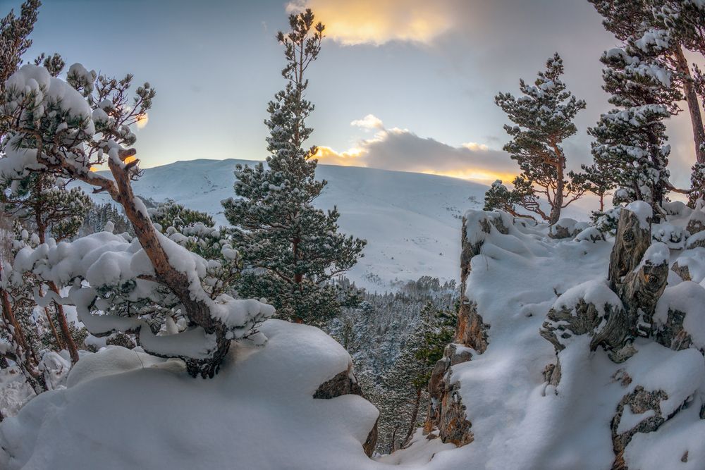 Фотография автора Anatoly