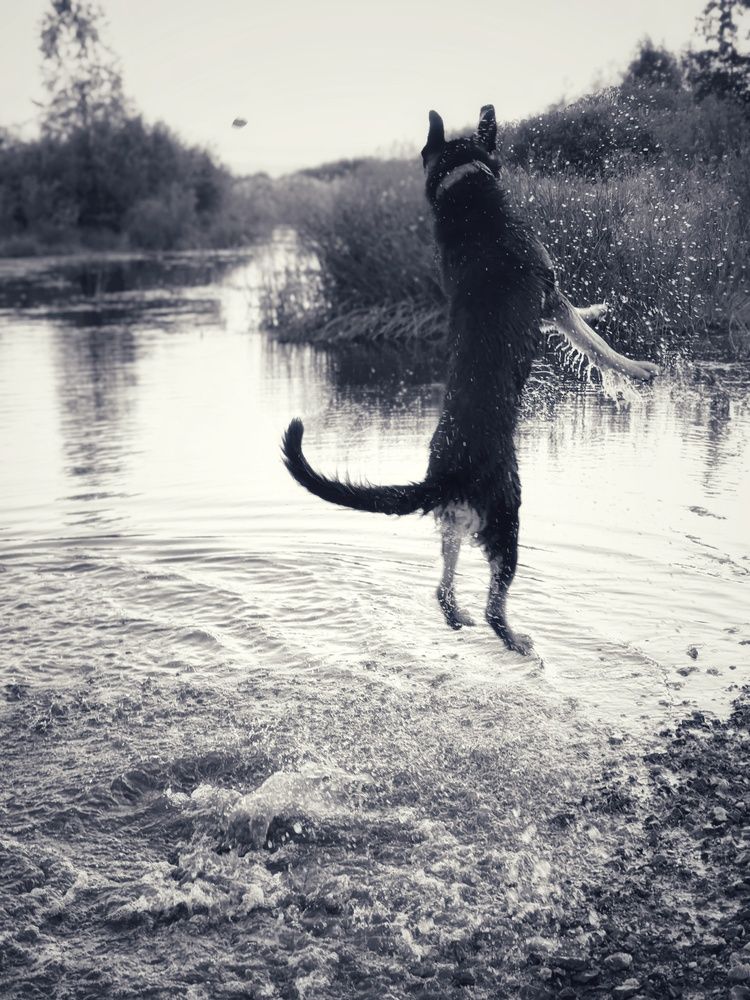 Photograph by Анна Якубинас