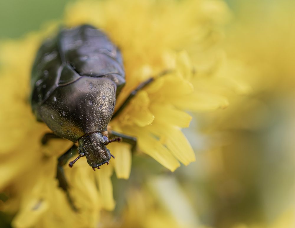 Photograph by Татьяна Феденкова