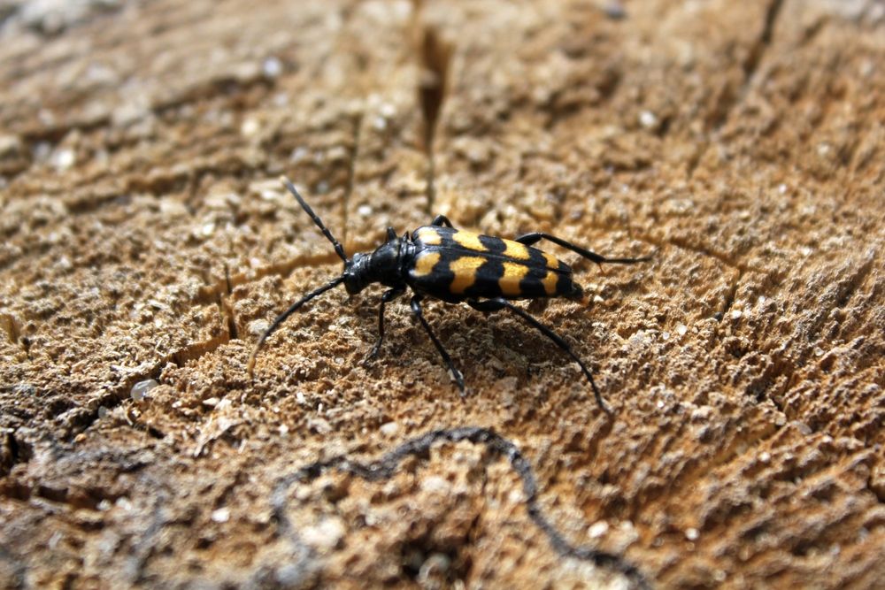 Photograph by Olga Bagaeva