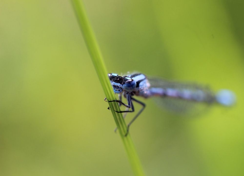 Фотография автора Любовь Саханова