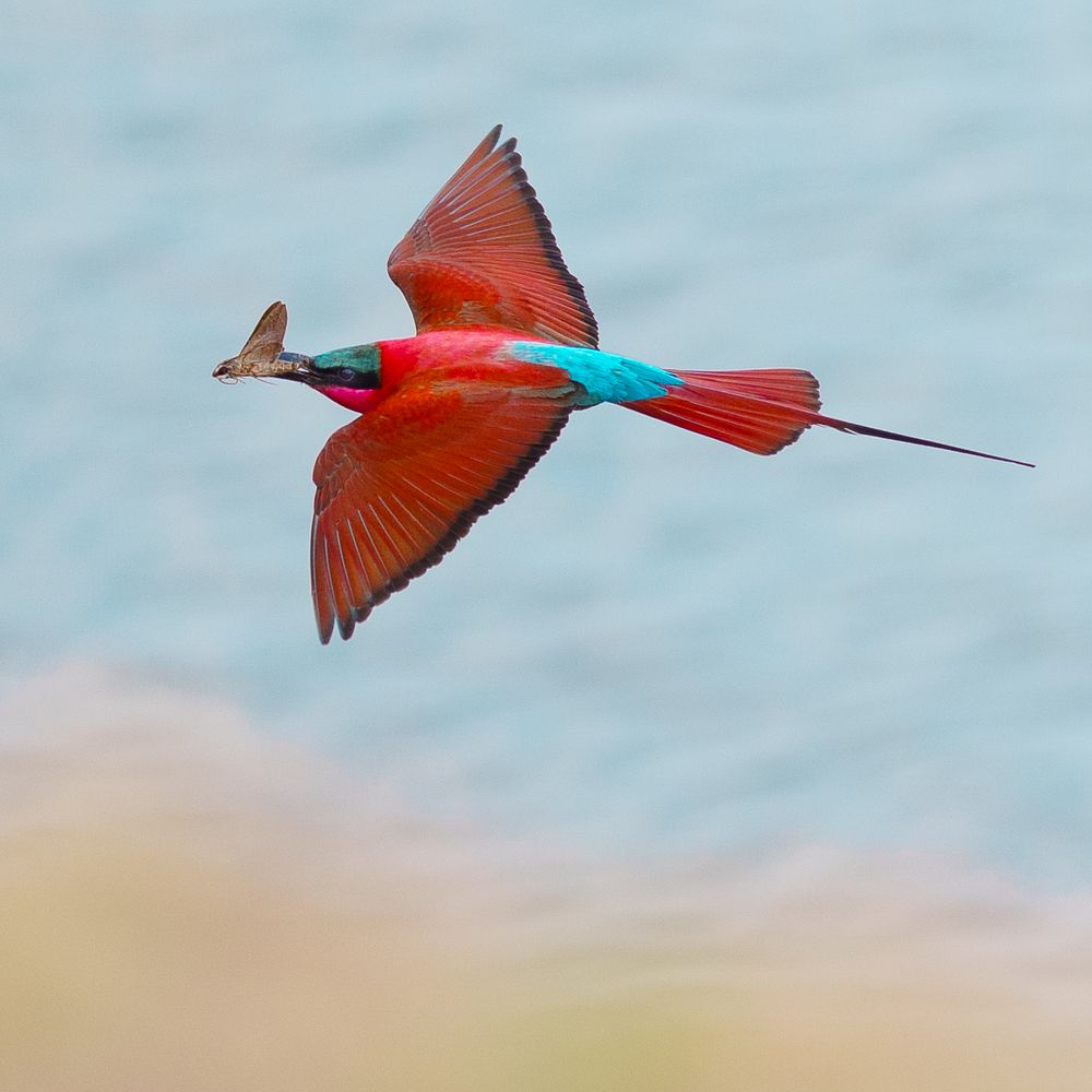 Photograph by Turgay Uzer