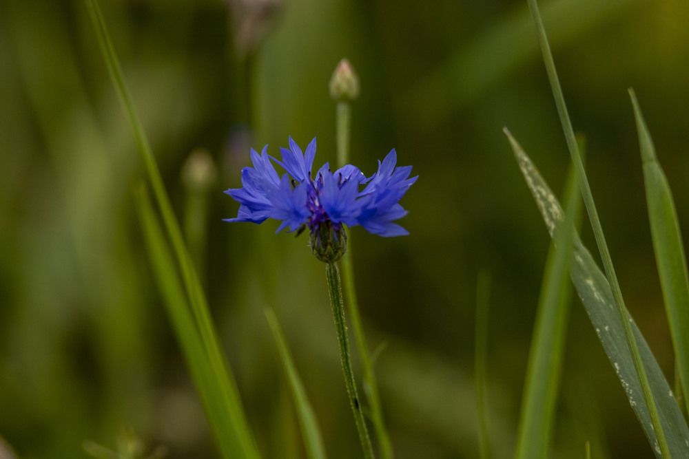 Photograph by Елена Перминова
