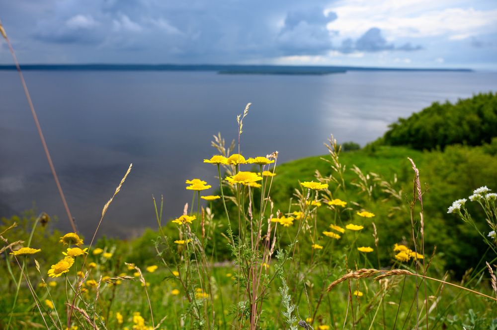 Волжские просторы