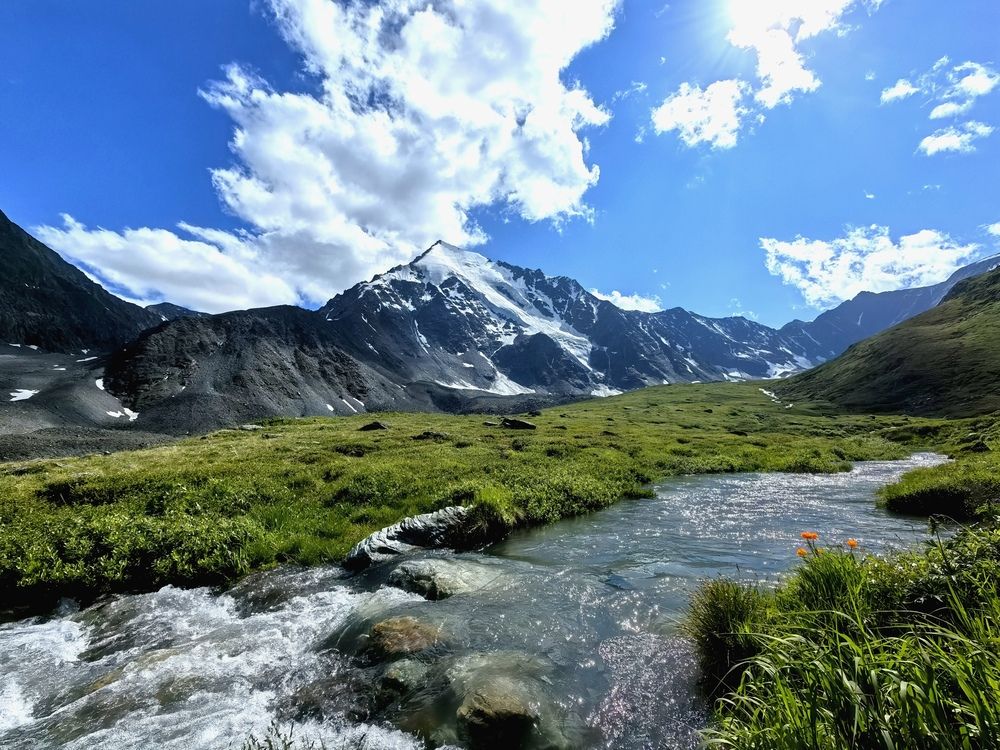 Фотография автора Роман Салихов