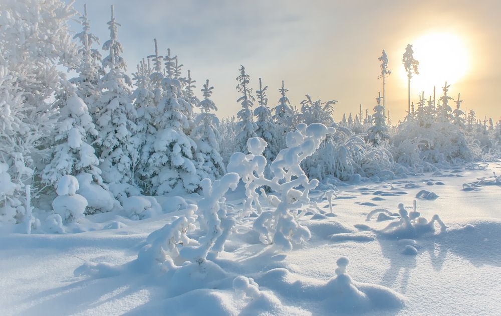 Остановить мгновенье...