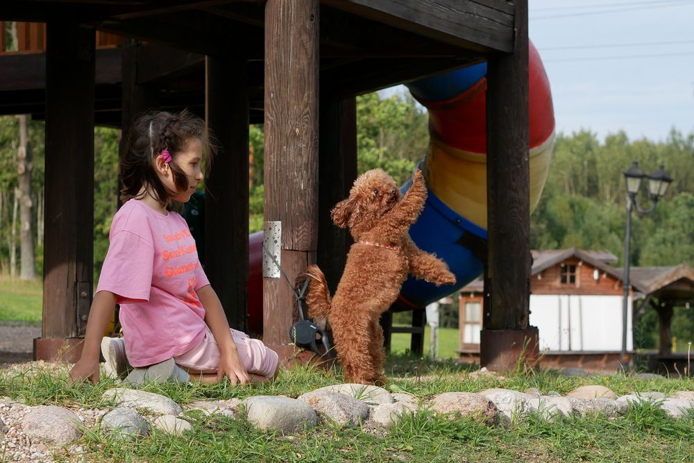 Фотография автора Владимир Лобанов