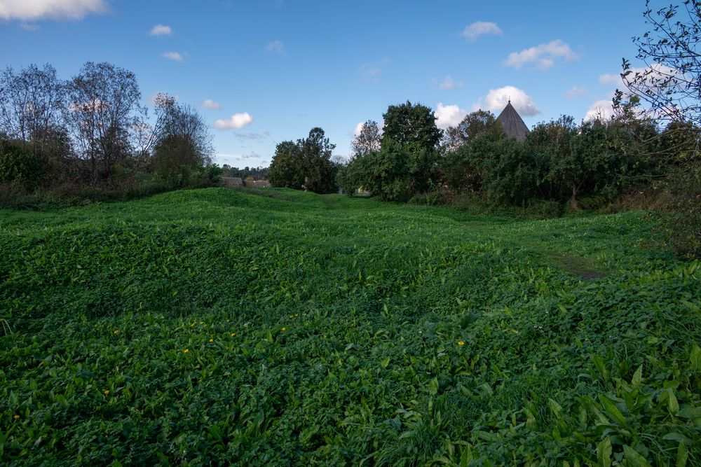 Photograph by Даниил Пузаков