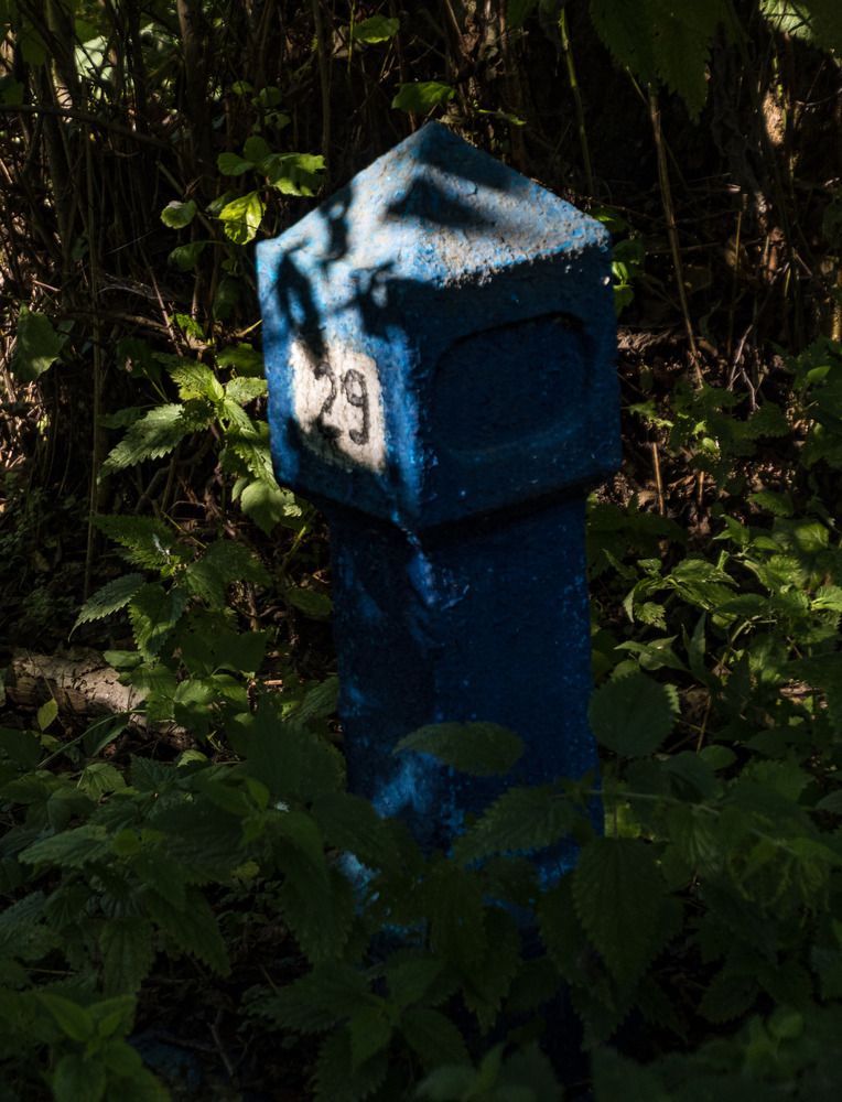 Photograph by Даниил Пузаков