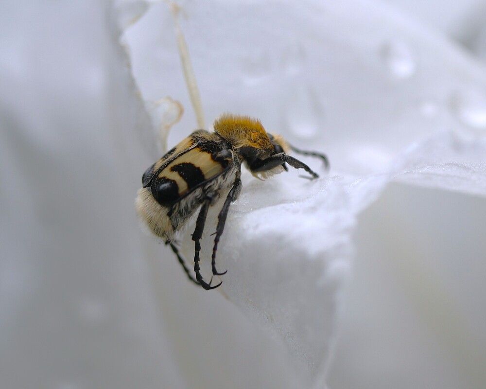 Photograph by Гагик Саркисян