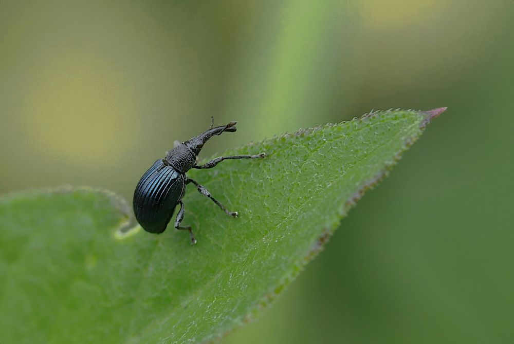 Photograph by Гагик Саркисян