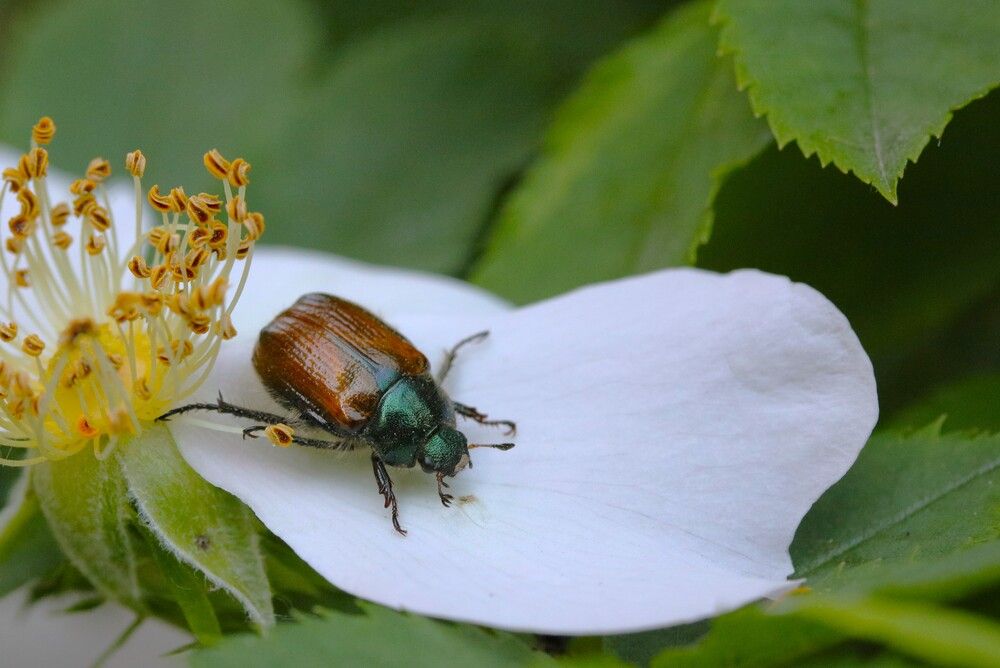 Photograph by Гагик Саркисян