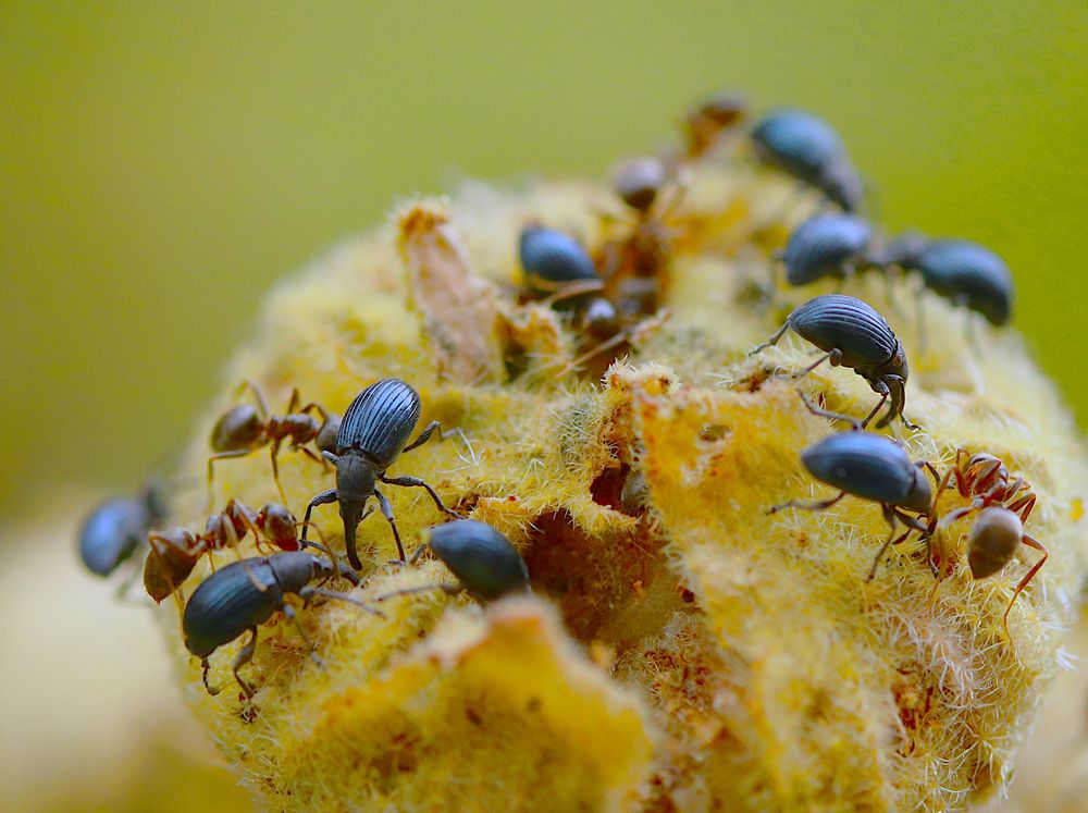 Photograph by Гагик Саркисян