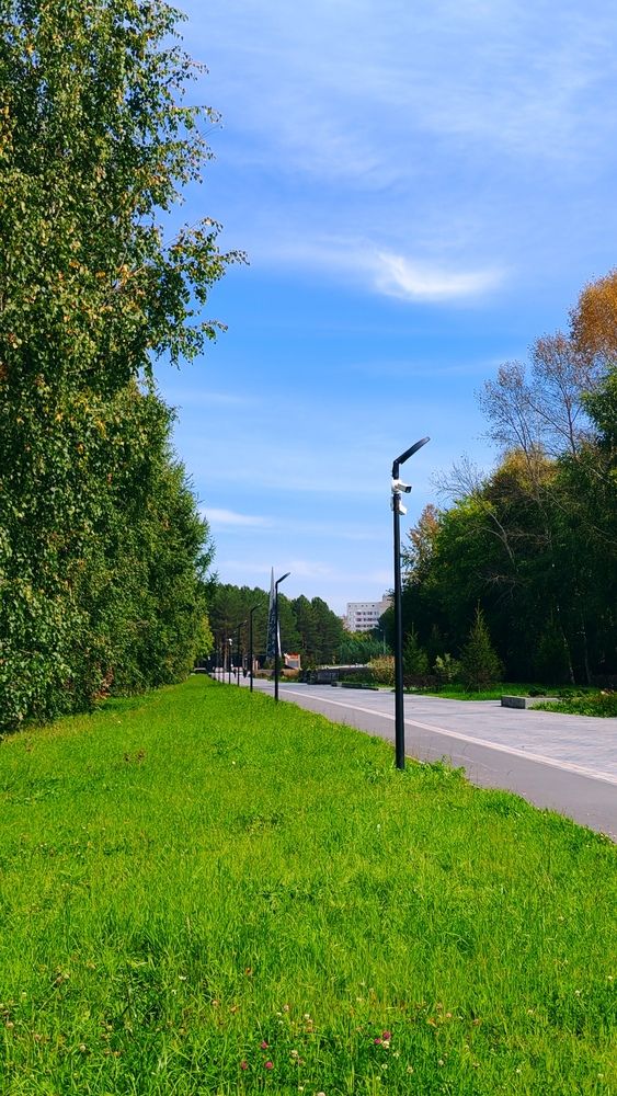 Фотография автора Наталья Шендяпина