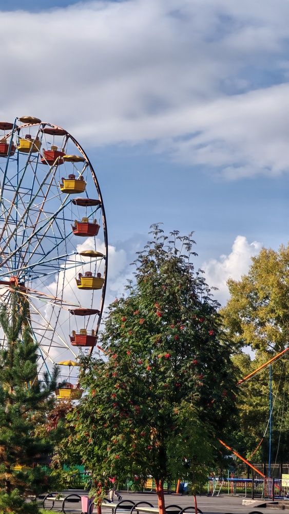 Фотография автора Наталья Шендяпина