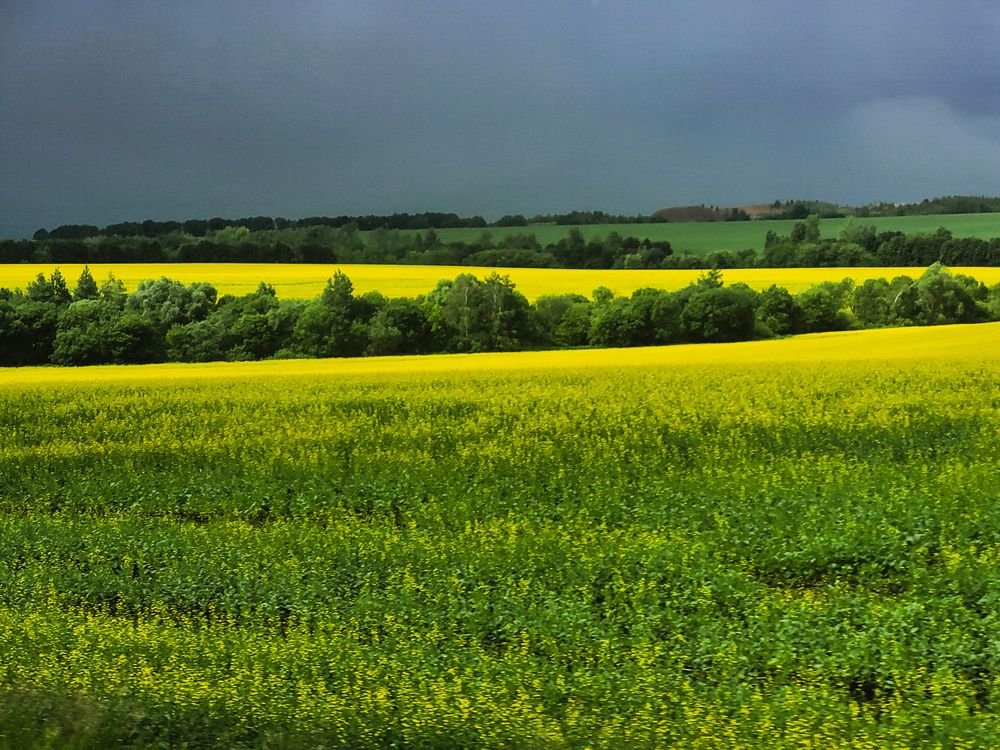 Photograph by Алла Никушкина