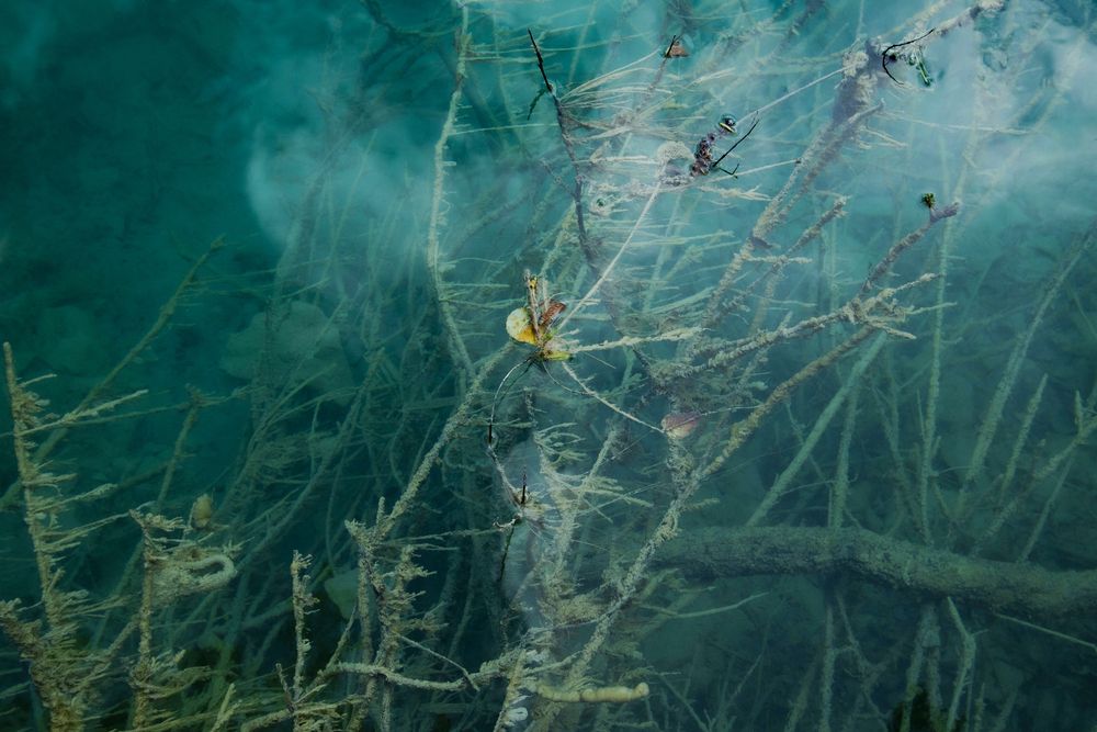 Подводный мир